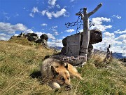 52 Messaggio tradotto...Voletevi bene tutti